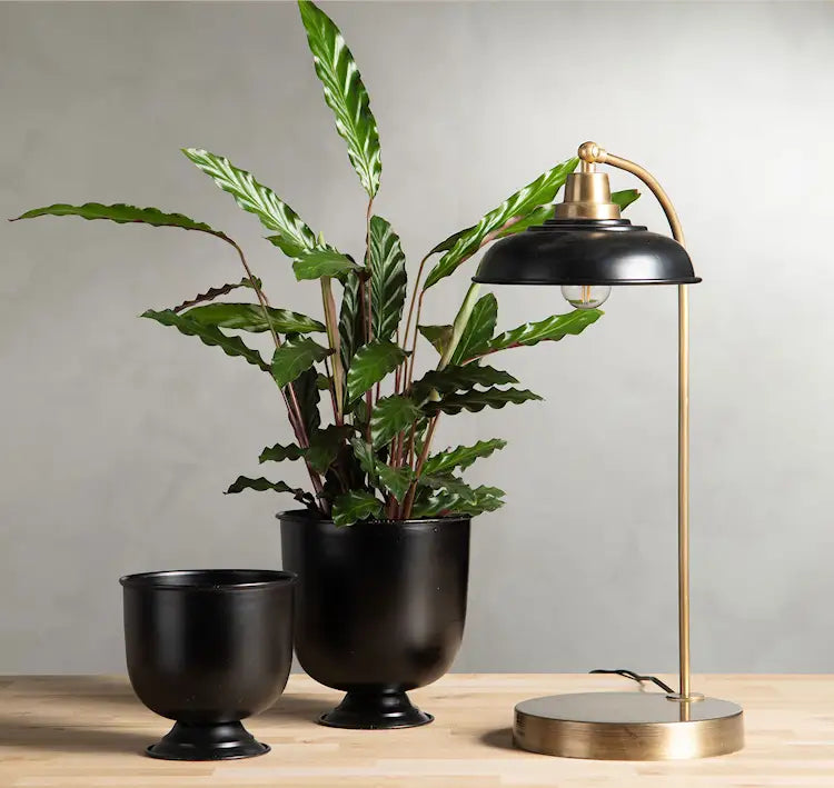 BORDSLAMPA NOA SVART